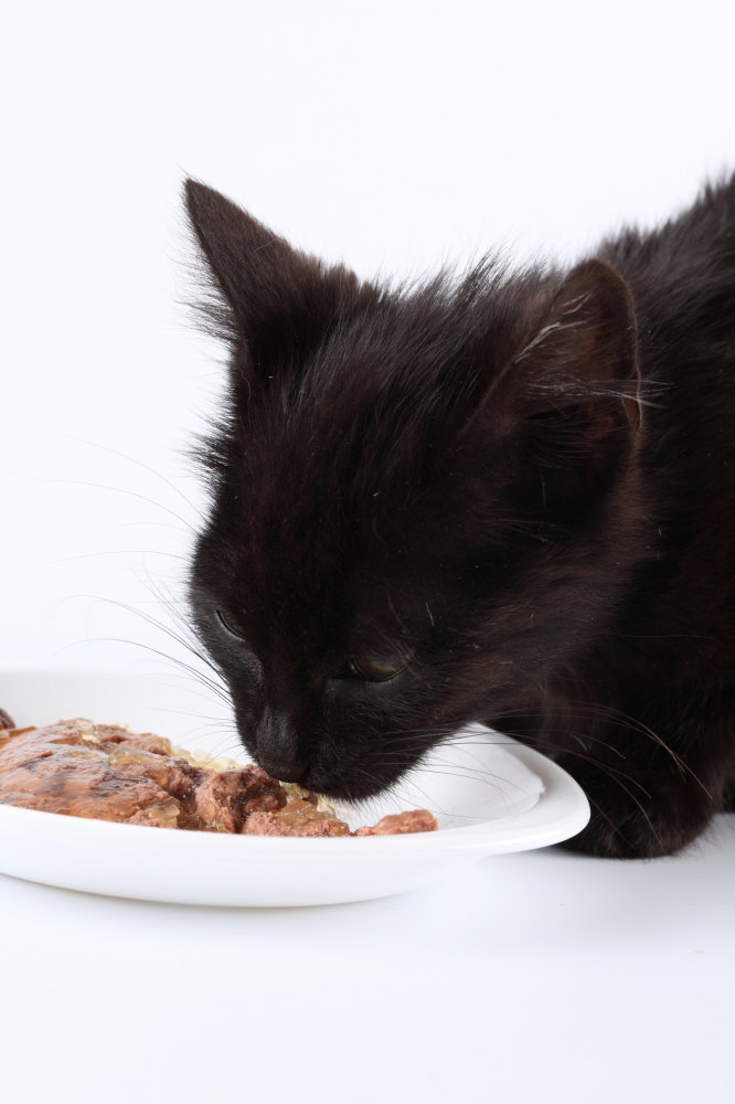 Katzenfutter - Meat Mix (420 g)