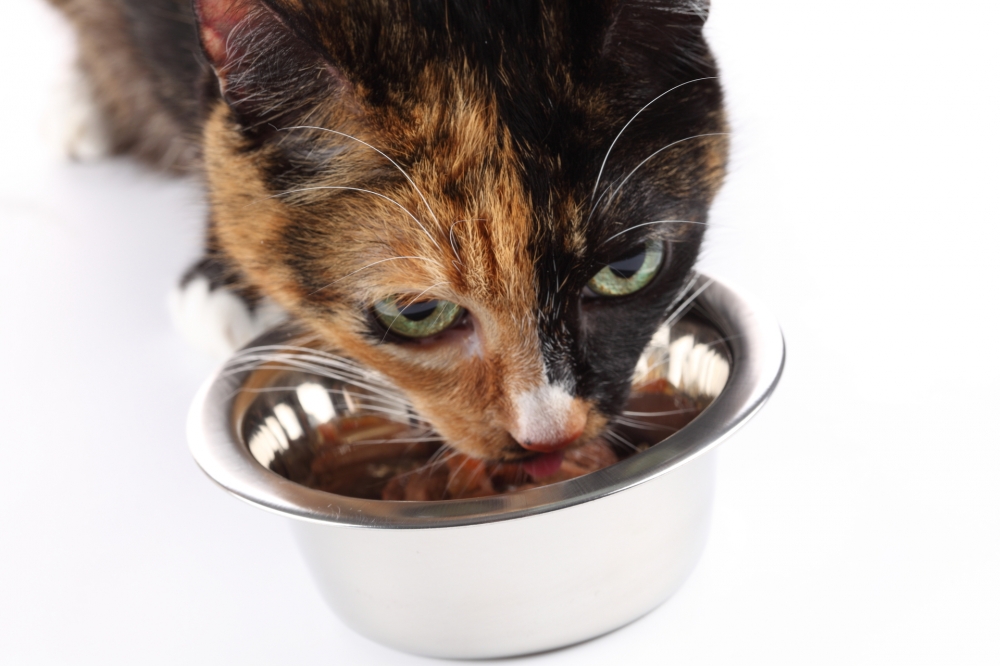 Katzenfutter - Meat Light (350 g)