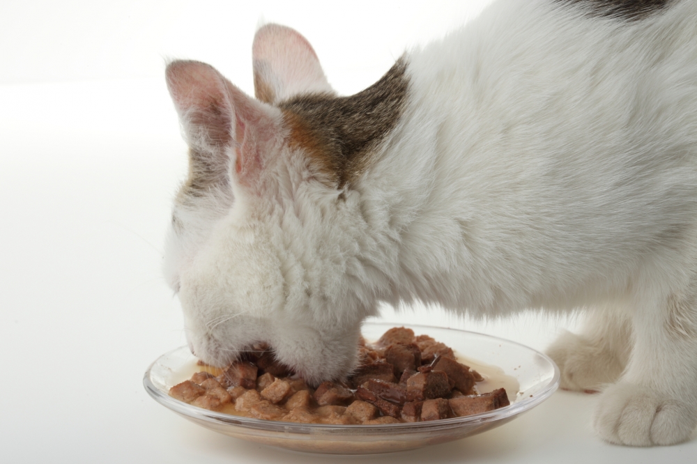 Katzenfutter - Meat (390 g)