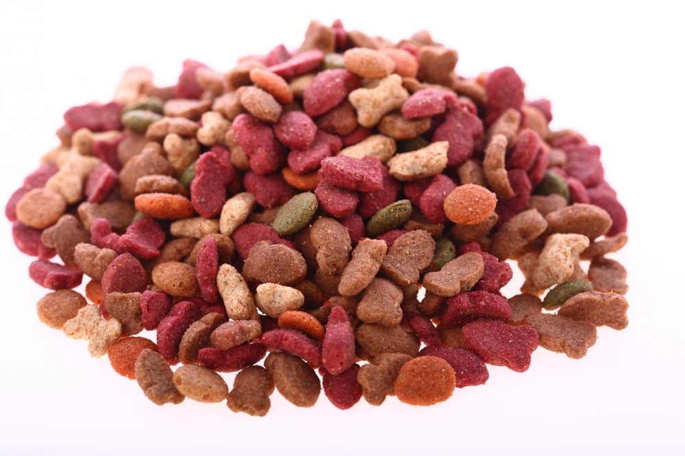 Hundefutter - Grain (2 Kg)