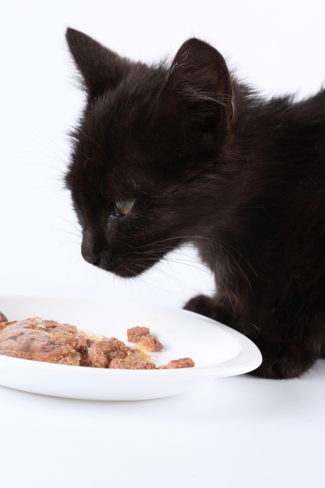 Katzenfutter - Meat Mix (420 g)