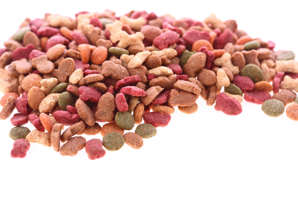 Hundefutter - Grain (2 Kg)