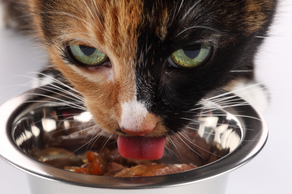 Katzenfutter - Meat Light (350 g)